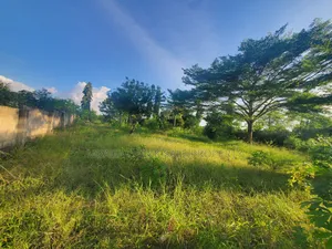 Plot for Sale at Madale Mivumoni