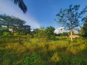 Plot for Sale at Madale Mivumoni