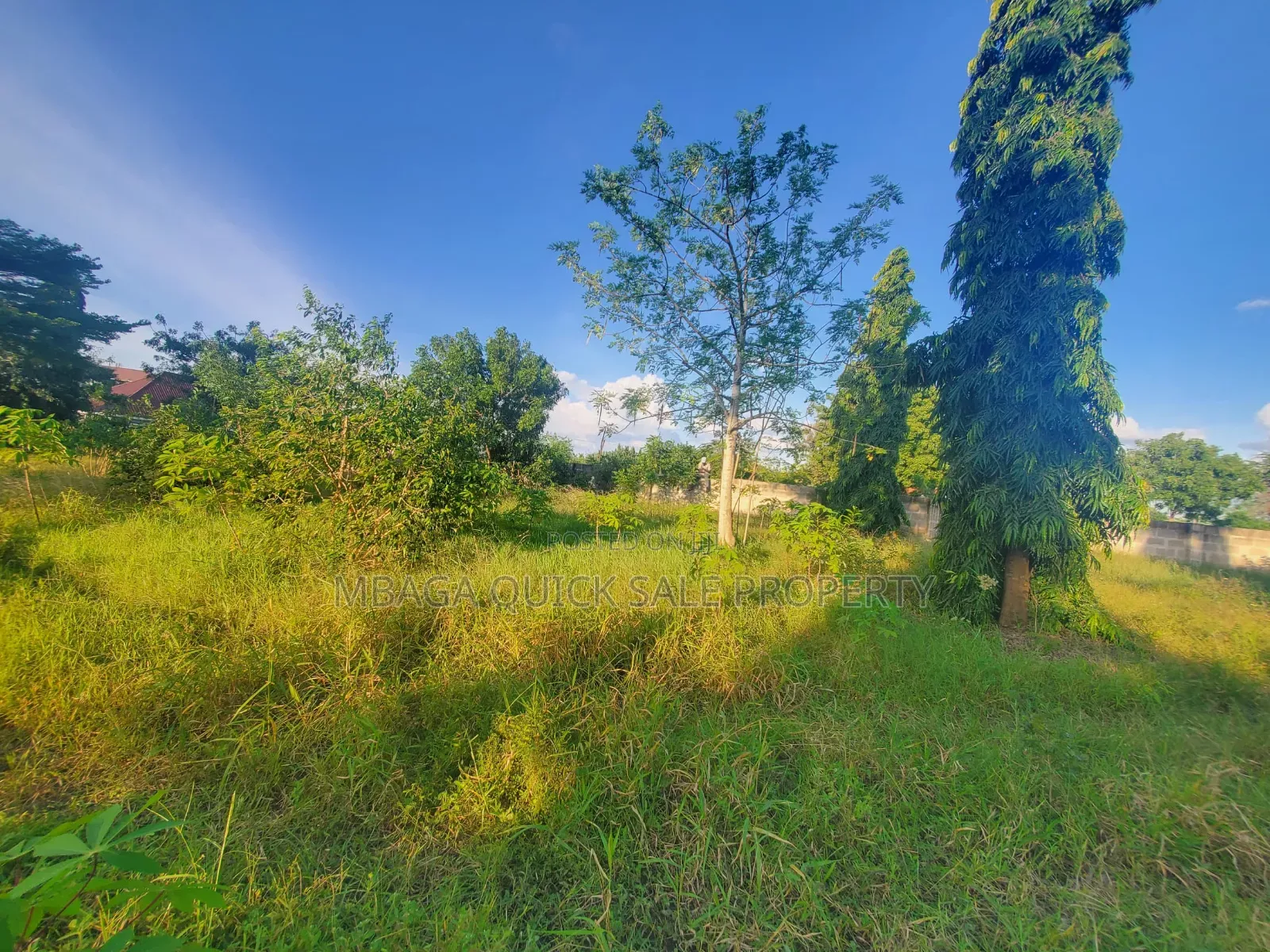 Plot for Sale at Madale Mivumoni
