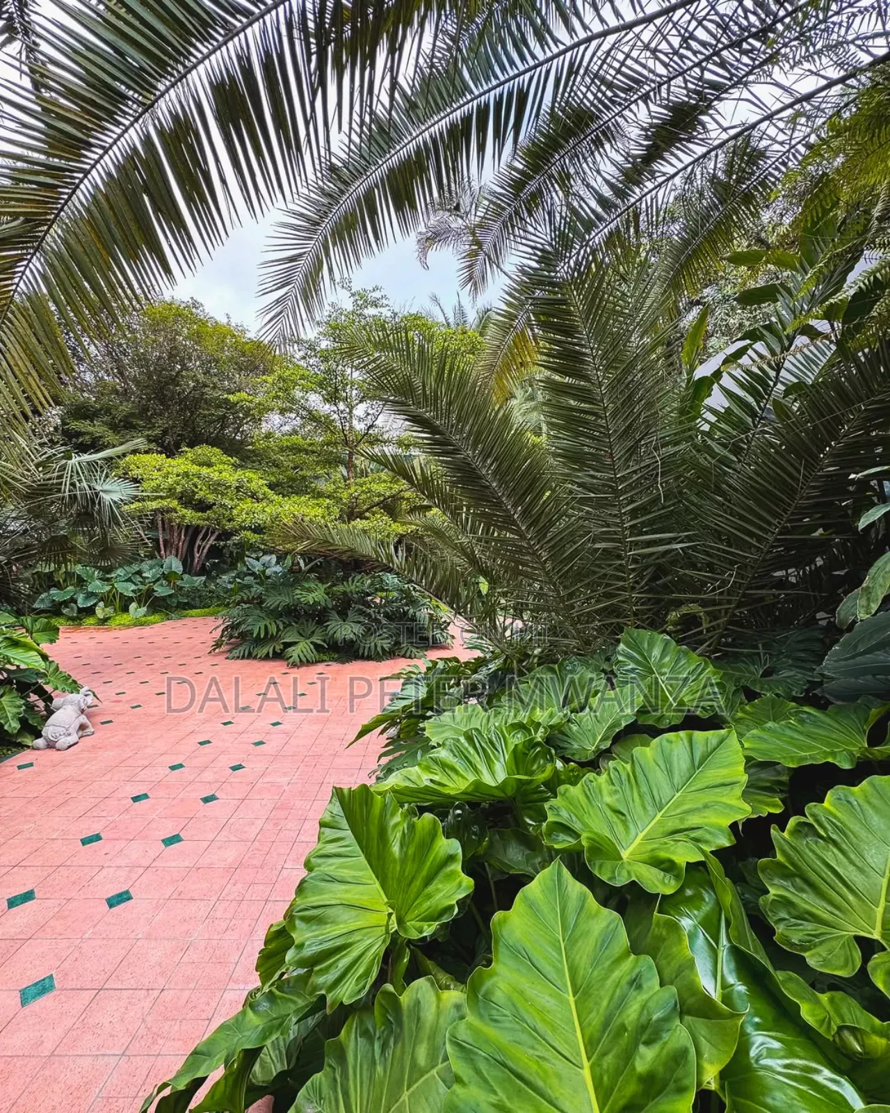 Furnished 3bdrm Apartment in Airport Road, Ilemela for rent
