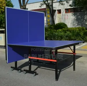 Factory Direct Table Tennis Table