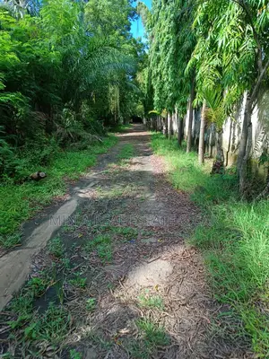 Plot for Sale Mikocheni Beach