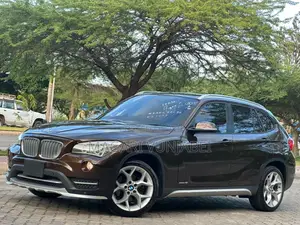 BMW X1 2014 Brown