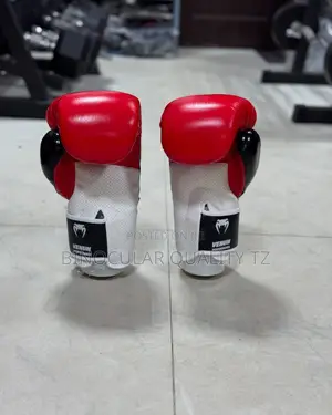 Boxing Gloves/Punching Gloves