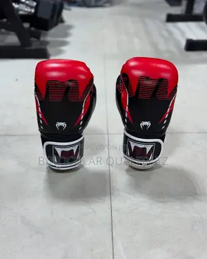 Boxing Gloves/Punching Gloves