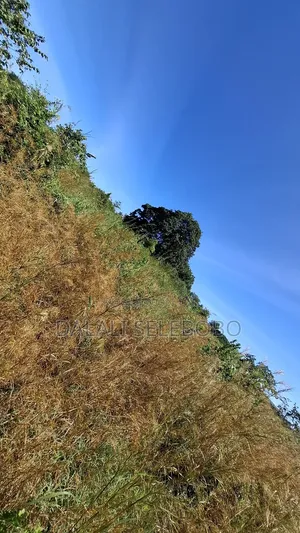 8hector Industry Plot at Kibaha Misugusugu