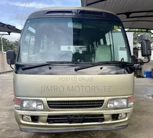 Toyota Coaster 2001 Gold