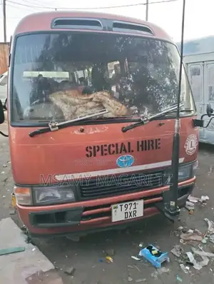 Toyota Coaster 1999 Brown