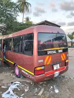 Toyota Coaster 1999 Brown