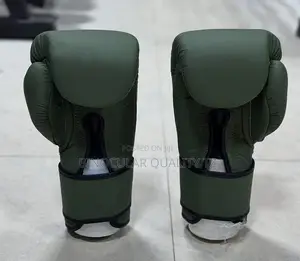 Boxing Gloves/Punching Gloves
