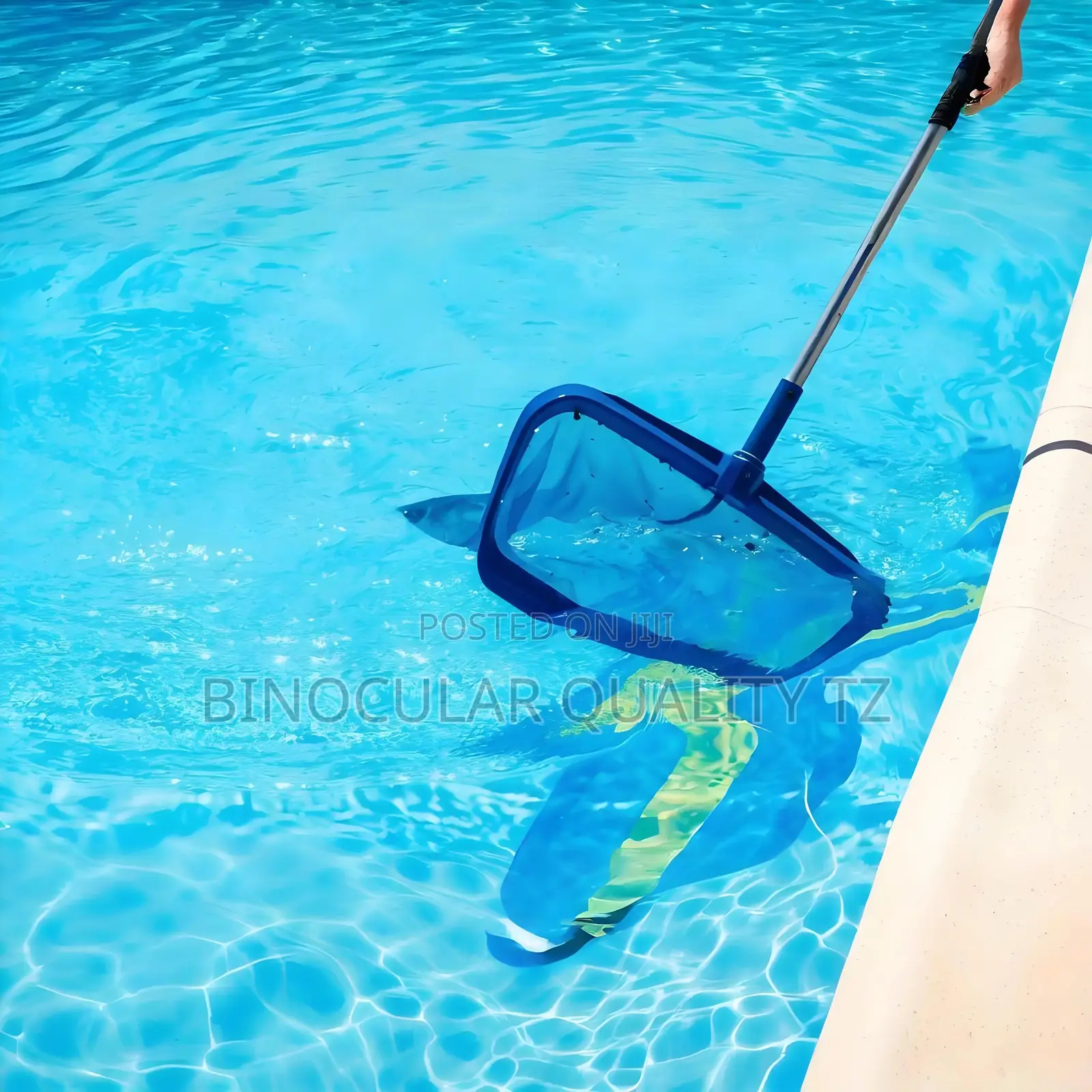 Extra Large Pool