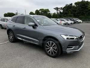 Volvo XC60 2019 Gray