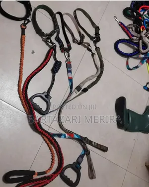 Mikanda Ya Kuvalisha Mbwa (Dog Leash)