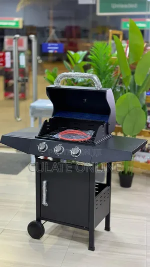 BBQ Outdoor Gas Grill With Trolley