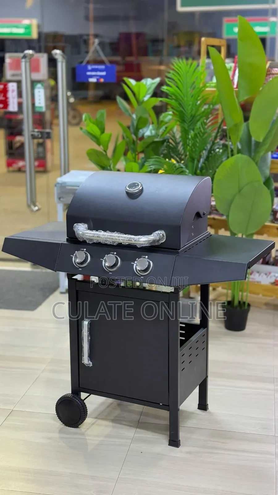BBQ Outdoor Gas Grill With Trolley