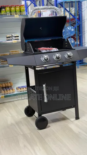 BBQ Outdoor Gas Grill With Trolley