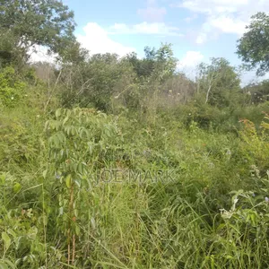 Shamba Linauzwa Vigwa
