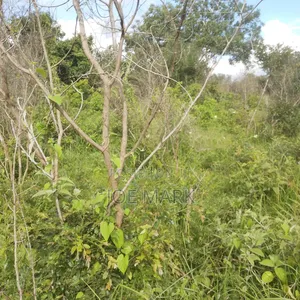 Shamba Linauzwa Vigwa