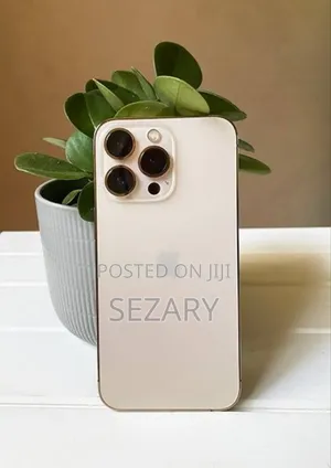 New Apple iPhone 13 Pro Max 256 GB Gold