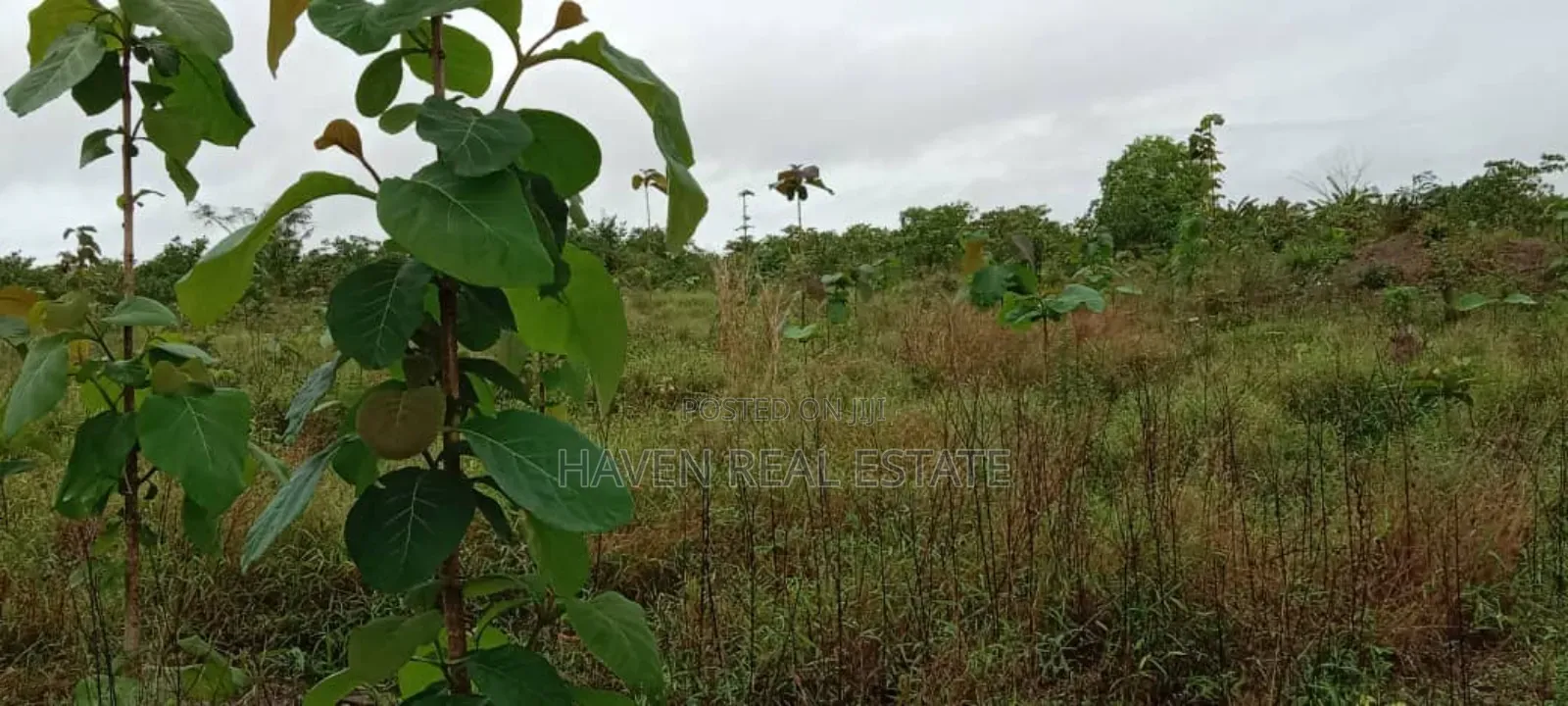 Eneo La Uwekezaji Linauzwa Mkuranga