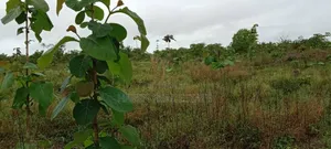 Eneo La Uwekezaji Linauzwa Mkuranga