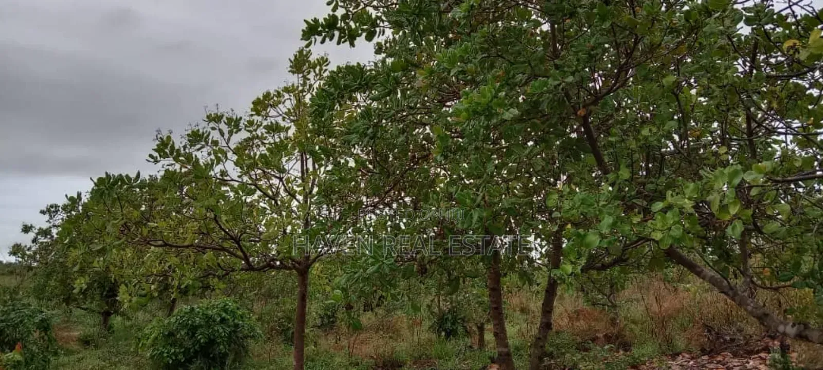 Eneo La Uwekezaji Linauzwa Mkuranga