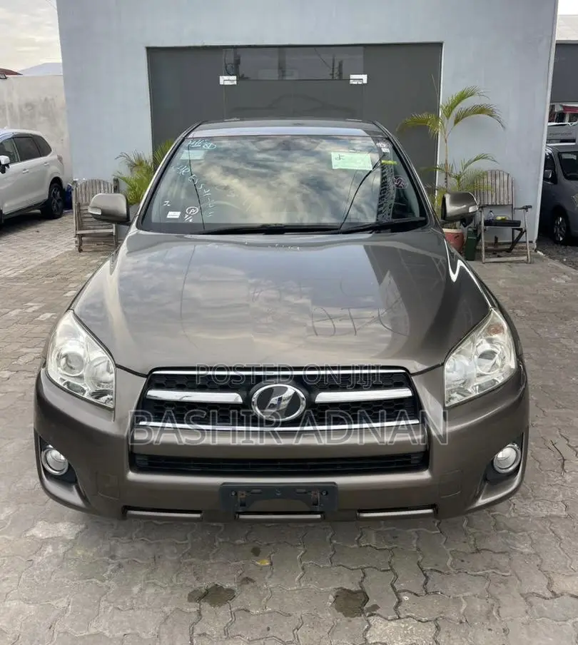 Toyota RAV4 2010 Brown