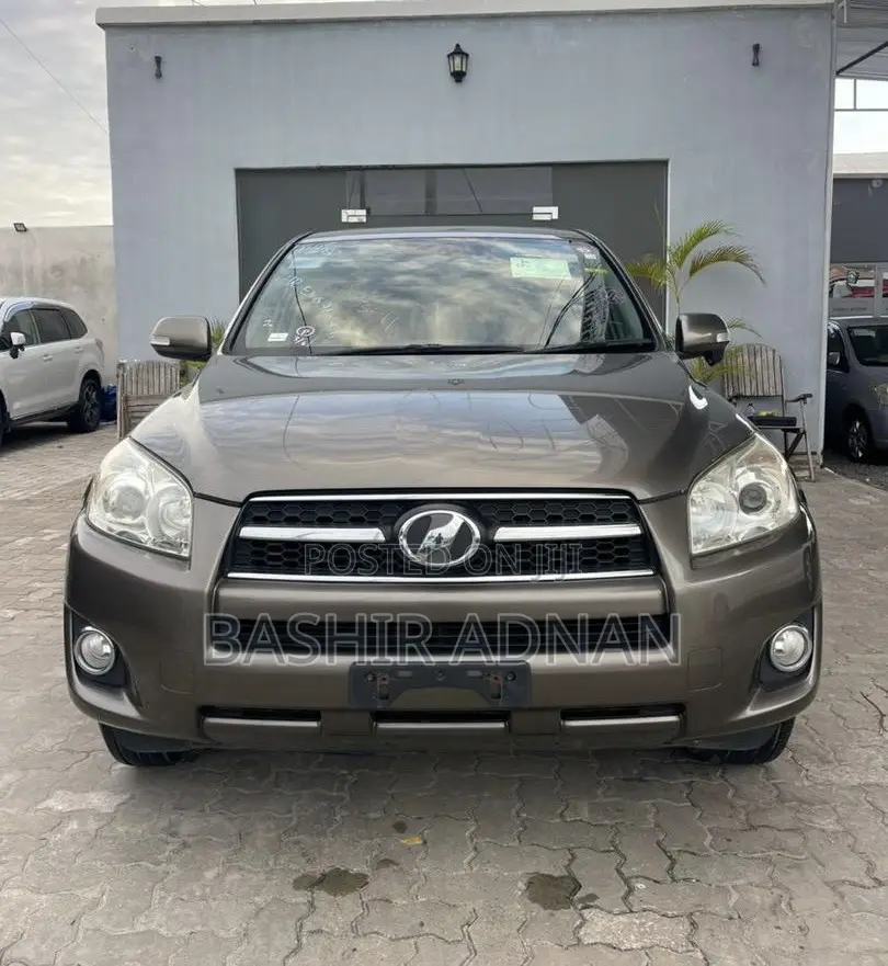 Toyota RAV4 2010 Brown