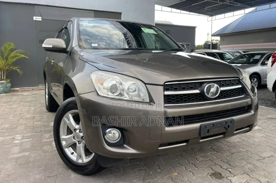 Toyota RAV4 2010 Brown