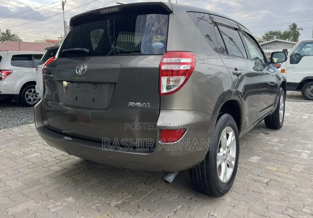 Toyota RAV4 2010 Brown