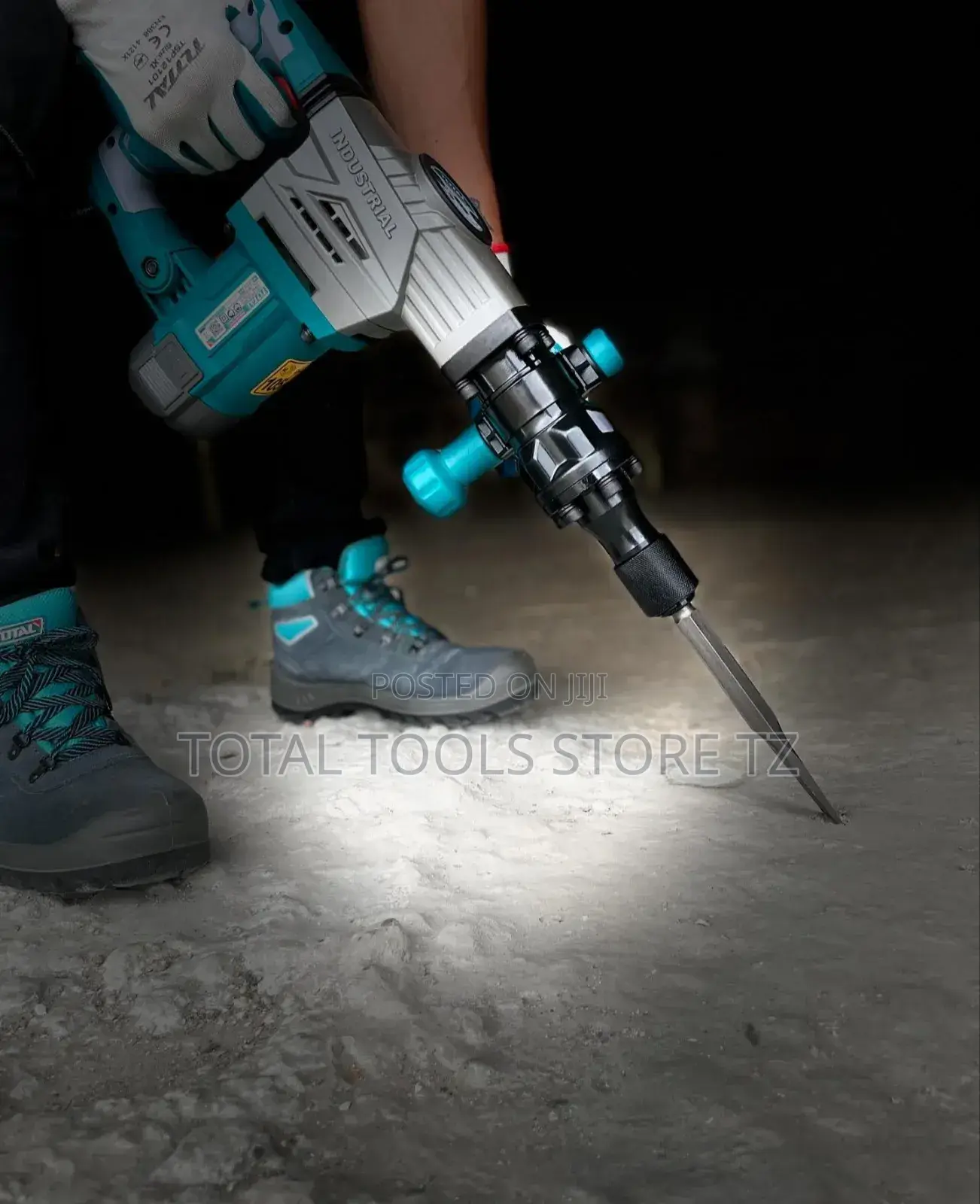 Total Demolition Breaker 1300w