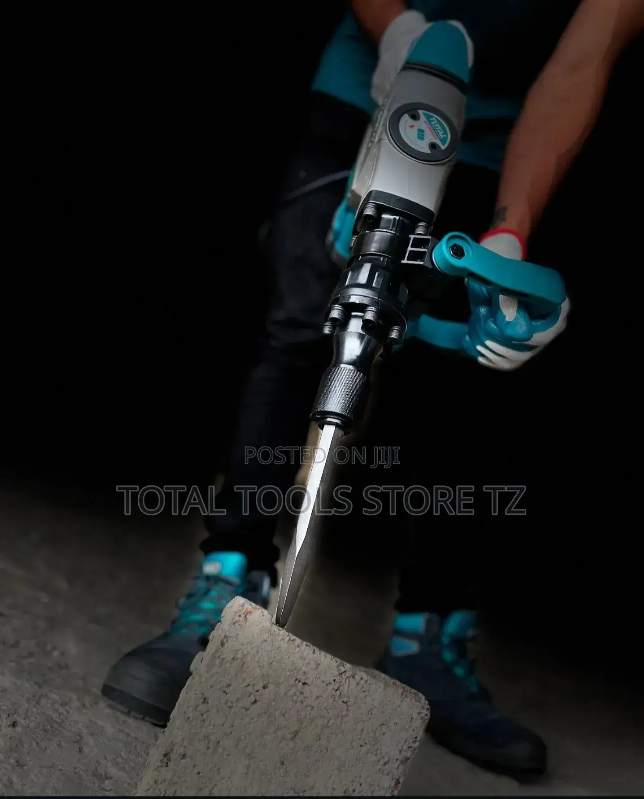 Total Demolition Breaker 1300w