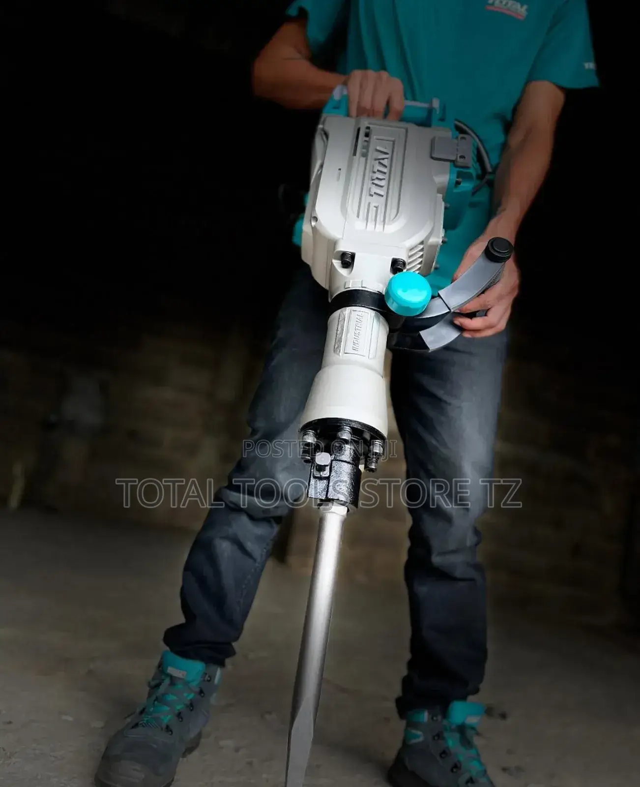 Total Demolition Breaker 1700w