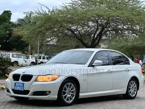 BMW 3 Series 2013 Silver