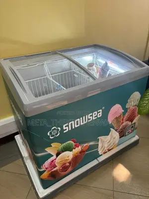 Snowsea Showcase Freezer 280l