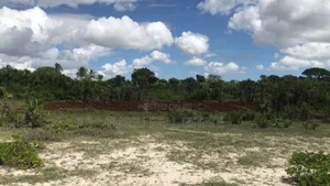 *Wonderfully Sand Beach Plot for Sale at Kigamboni Dege*
