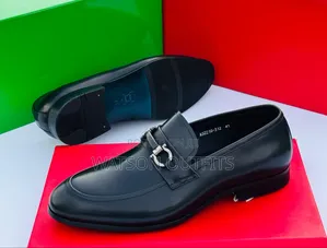 Clearly Excellent Feragamo Shoes