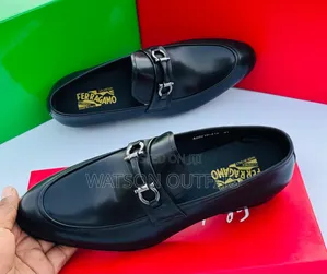 Clearly Excellent Feragamo Shoes