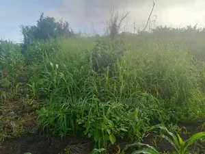 Shamba Acre 5 Zinauzwa Bago Kiwangwa