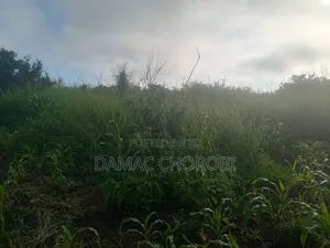 Shamba Acre 5 Zinauzwa Bago Kiwangwa