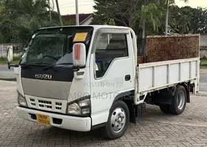 Isuzu NQR 2005 White