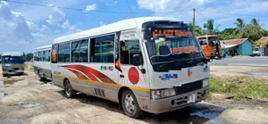 Toyota Coaster 2002 White