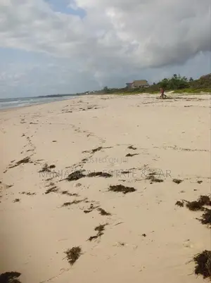 Sand Beach Plot for Sale at Kigamboni Dege