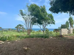 Sand Beach Plot for Sale at Kigamboni Dege