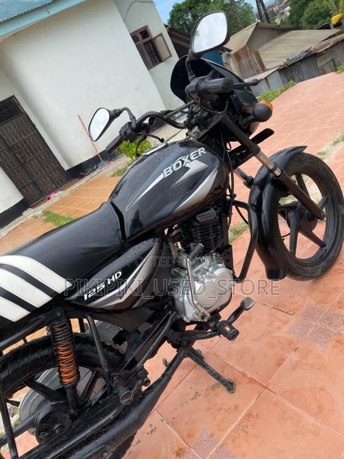 Autodex 2023 Black