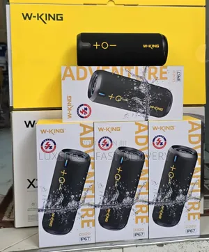 Wking D320 Speaker