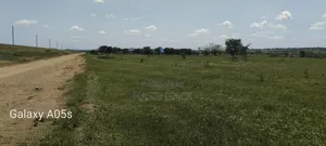 Land for Sale Hekar 25, Mwanza Fera (Jiran Nabandar Kavu)