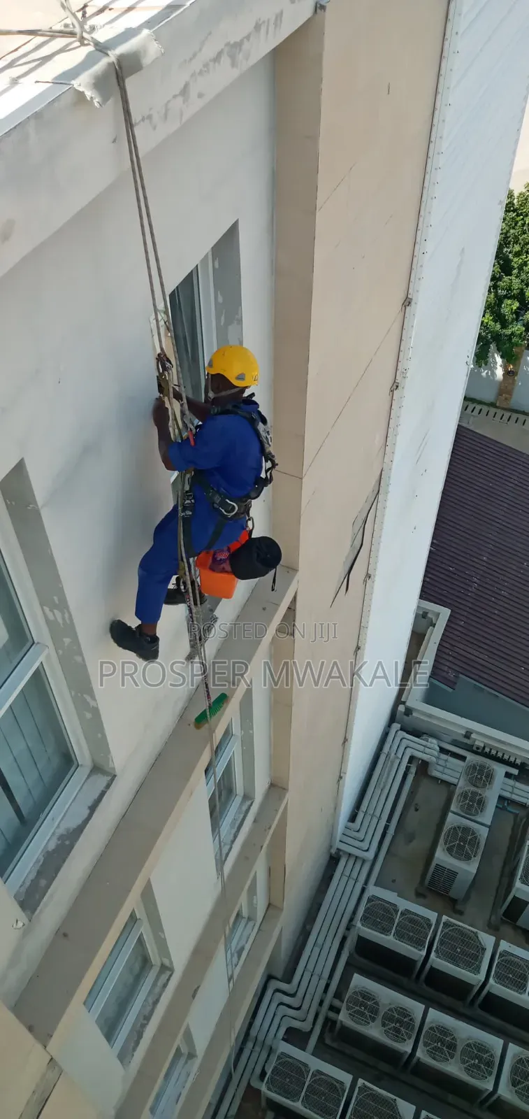 Cleaning Fumigation Services