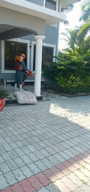 Fumigation Cleaning Services
