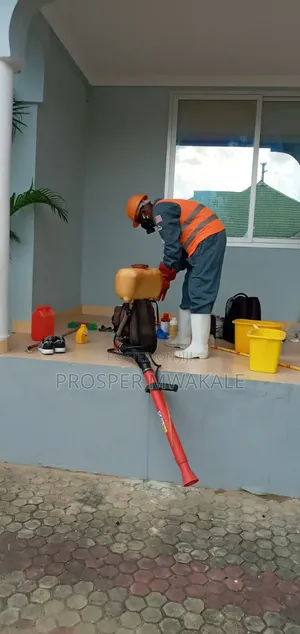 Fumigation Cleaning Services